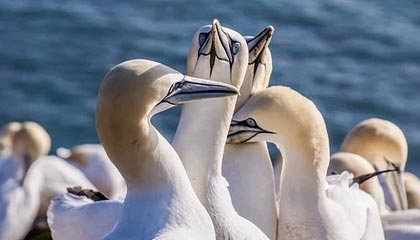 国内检测行业进入存量时代,泉果基金调研华测检测