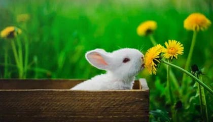 国内检测行业进入存量时代,泉果基金调研华测检测