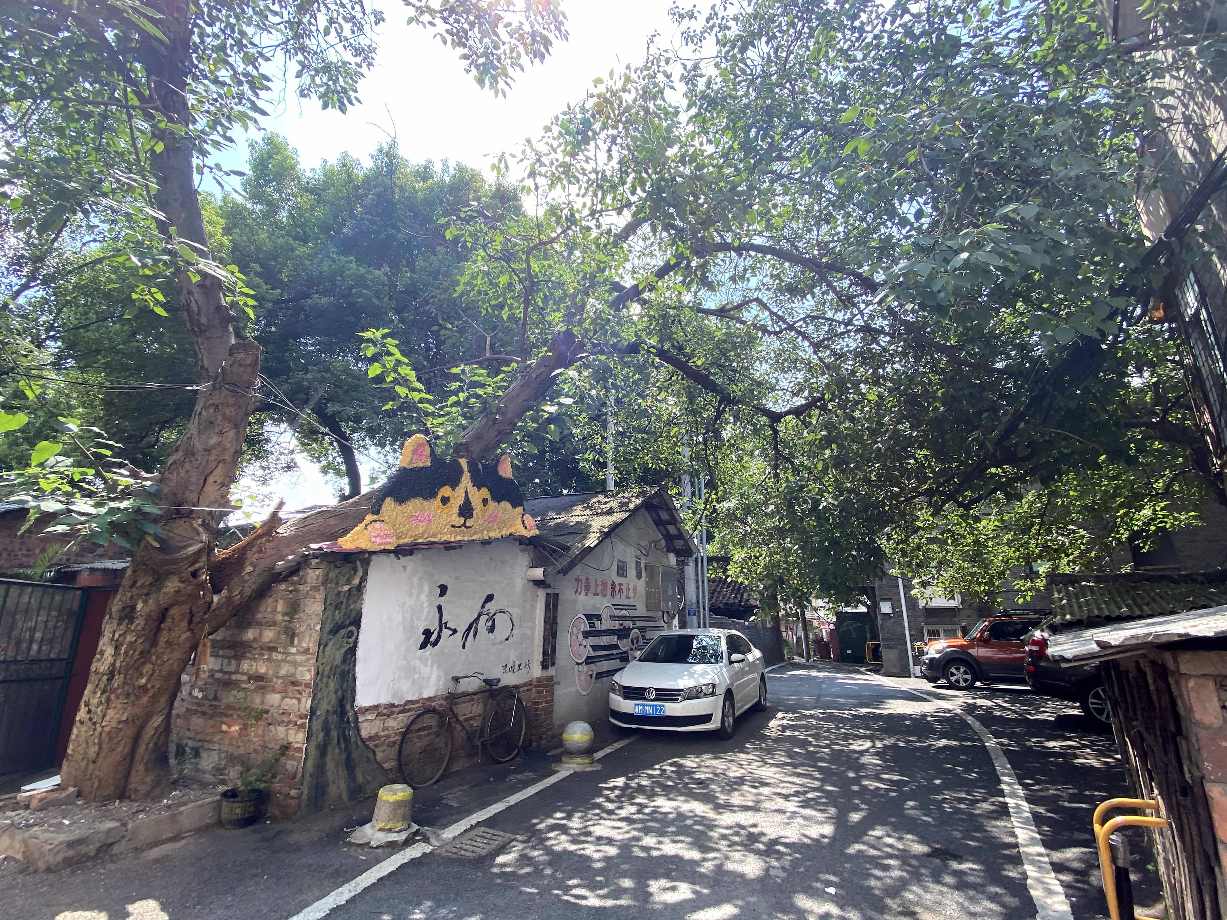 湖南冷水滩:城市更新涌动发展活力