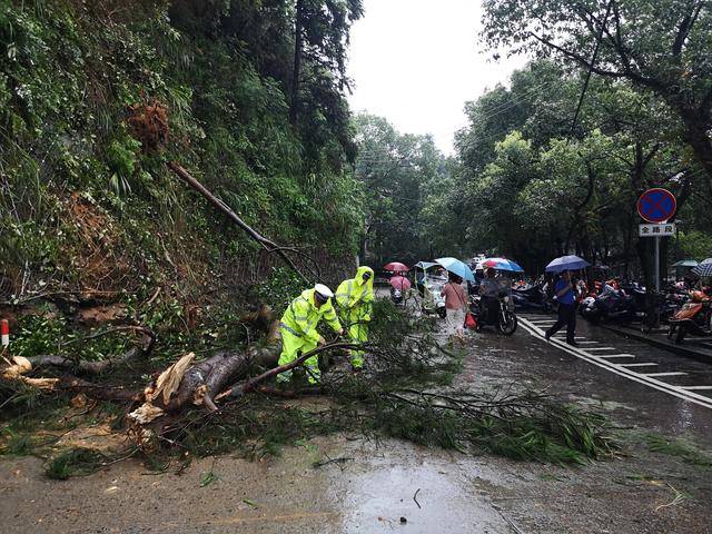 一场戏要变股票代码!15家旅企排队募股,靠一张王牌咋闯资本关?