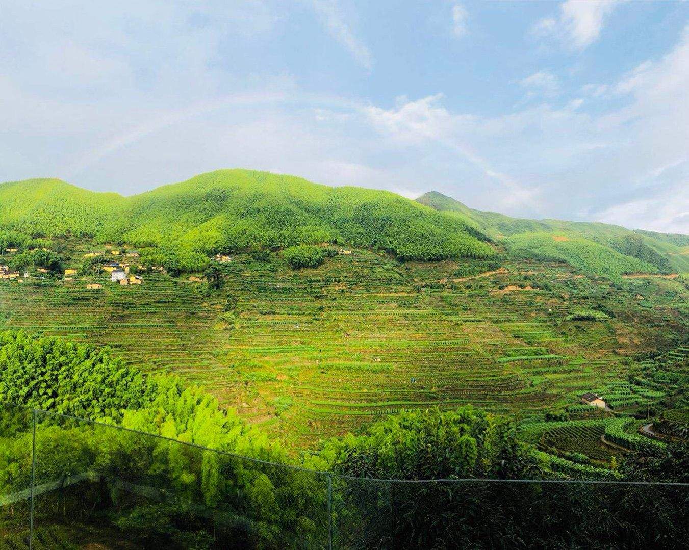 远山贵金属(远山金次百度百科)