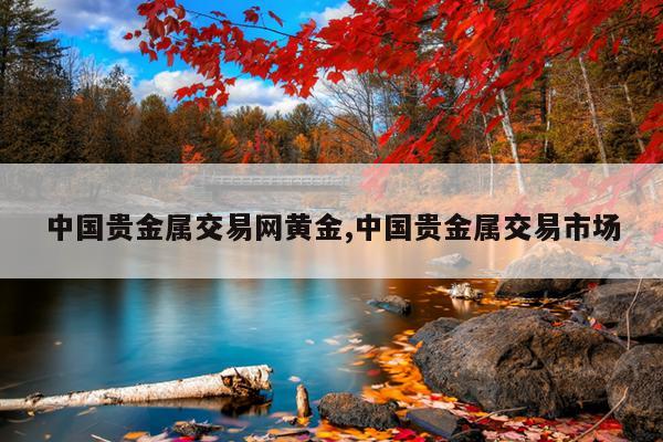 平台贵金属交易(贵金属交易平台哪个好,省心省力省时间)